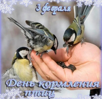 Покормите птиц зимой! Покормите птиц зимой!.